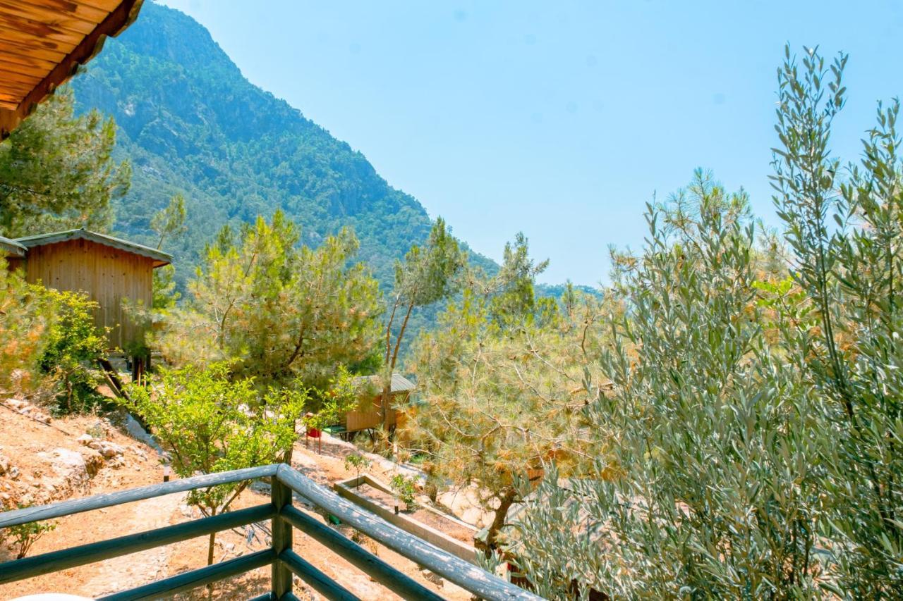 Tree Hotel Fethiye